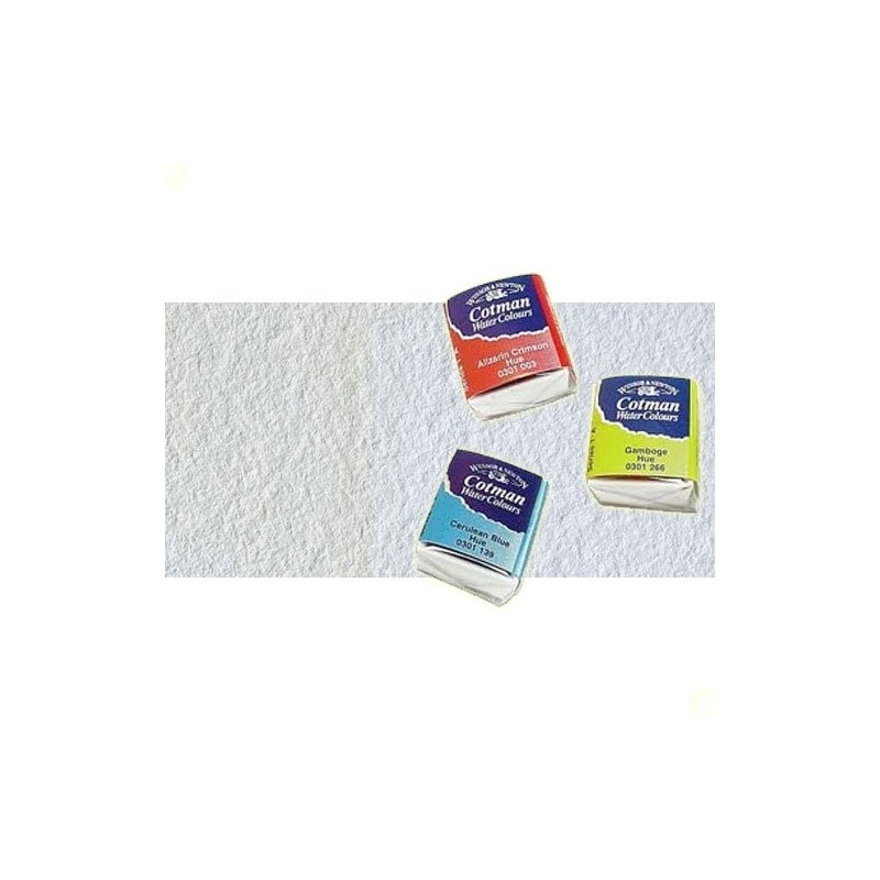 Material Bellas Artes - Pintura - Acuarela Cotman Winsor & Newton 1/2 godet color blanco de China | totenart.com