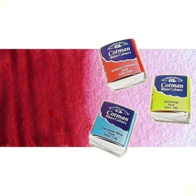 Material Bellas Artes - Pintura - Acuarela Cotman Winsor & Newton 1/2 godet color crimson alizarina | totenart.com