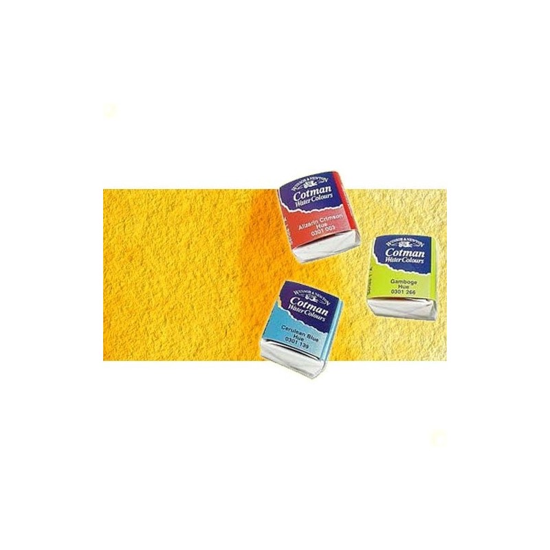 Material Bellas Artes - Pintura - Acuarela Cotman Winsor & Newton 1/2 godet color gamboge | totenart.com