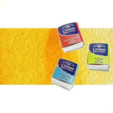 Material Bellas Artes - Pintura - Acuarela Cotman Winsor & Newton 1/2 godet color gamboge | totenart.com