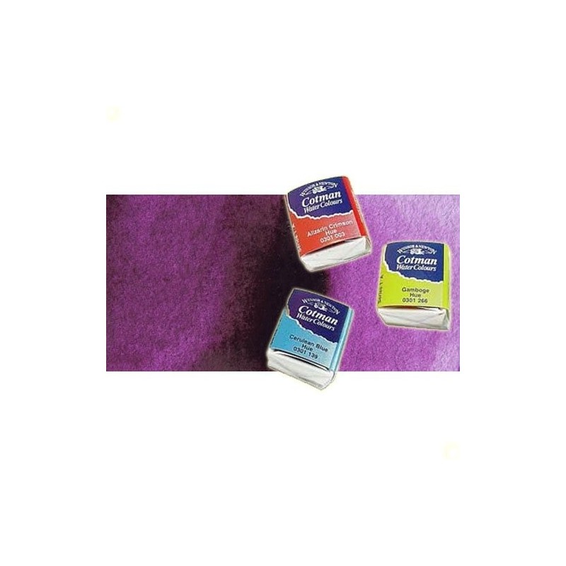 Material Bellas Artes - Pintura - Acuarela Cotman Winsor & Newton 1/2 godet color malva | totenart.com