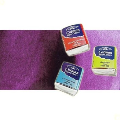 Material Bellas Artes - Pintura - Acuarela Cotman Winsor & Newton 1/2 godet color malva | totenart.com