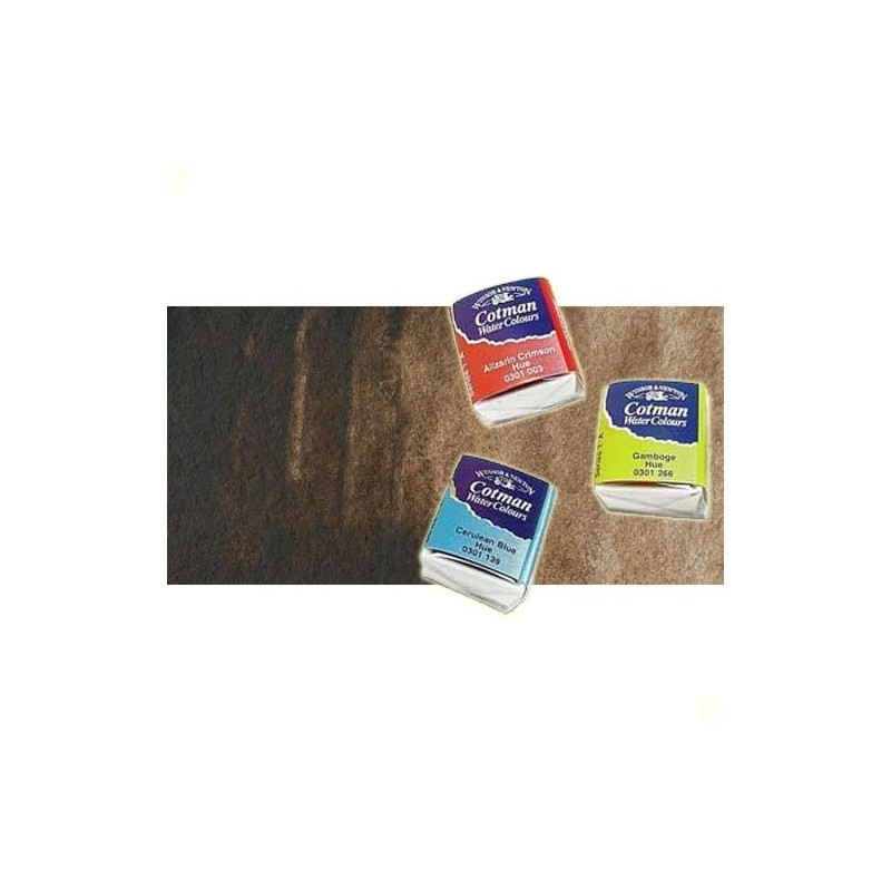 Material Bellas Artes - Pintura - Acuarela Cotman Winsor & Newton 1/2 godet color pardo Van Dyck | totenart.com