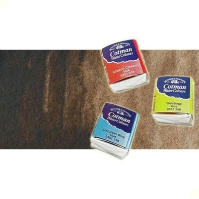 Material Bellas Artes - Pintura - Acuarela Cotman Winsor & Newton 1/2 godet color pardo Van Dyck | totenart.com