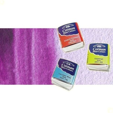 Material Bellas Artes - Pintura - Acuarela Cotman Winsor & Newton 1/2 godet color púrpura | totenart.com