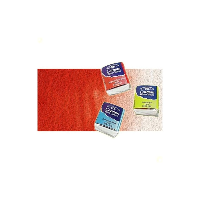 Material Bellas Artes - Pintura - Acuarela Cotman Winsor & Newton 1/2 godet color rojo cadmio pálido tono | totenart.com