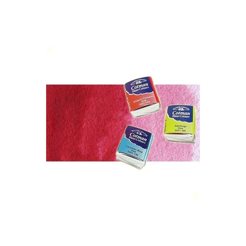 Material Bellas Artes - Pintura - Acuarela Cotman Winsor & Newton 1/2 godet color rosa Madder | totenart.com