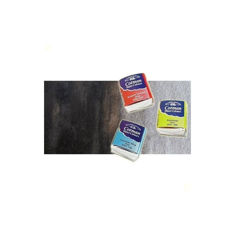 Material Bellas Artes - Pintura - Acuarela Cotman Winsor & Newton 1/2 godet color sepia | totenart.com