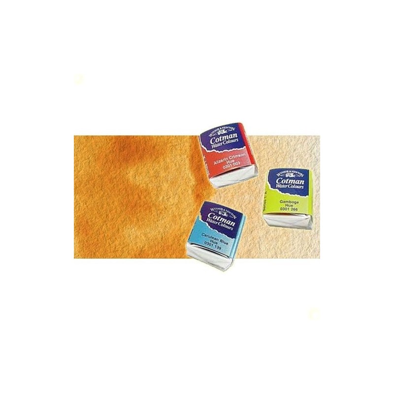 Material Bellas Artes - Pintura - Acuarela Cotman Winsor & Newton 1/2 godet color siena natural | totenart.com