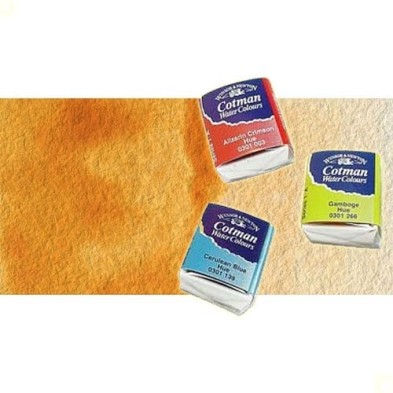 Material Bellas Artes - Pintura - Acuarela Cotman Winsor & Newton 1/2 godet color siena natural | totenart.com