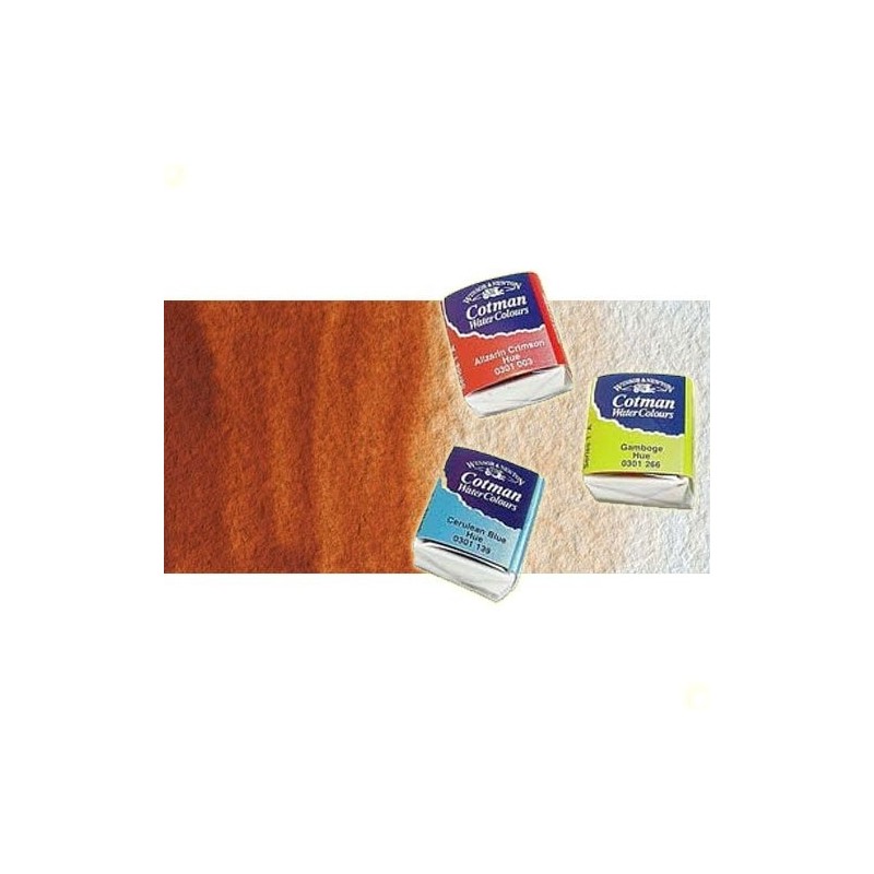 Material Bellas Artes - Pintura - Acuarela Cotman Winsor & Newton 1/2 godet color siena tostada | totenart.com