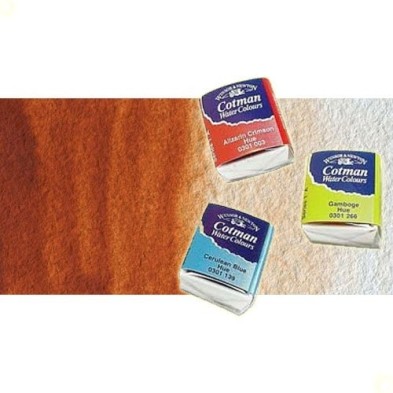 Material Bellas Artes - Pintura - Acuarela Cotman Winsor & Newton 1/2 godet color siena tostada | totenart.com