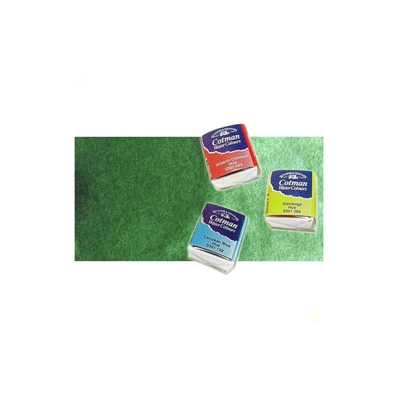 Material Bellas Artes - Pintura - Acuarela Cotman Winsor & Newton 1/2 godet color verde de Hooker claro | totenart.com