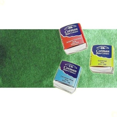 Material Bellas Artes - Pintura - Acuarela Cotman Winsor & Newton 1/2 godet color verde de Hooker claro | totenart.com