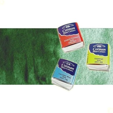 Material Bellas Artes - Pintura - Acuarela Cotman Winsor & Newton 1/2 godet color verde de Hooker oscuro | totenart.com