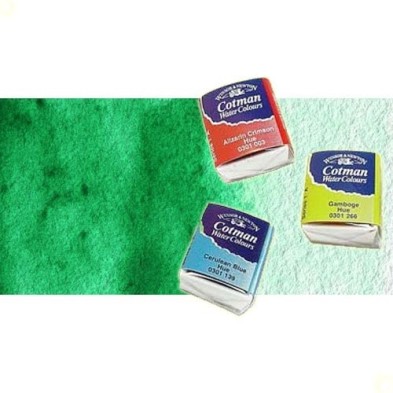 Material Bellas Artes - Pintura - Acuarela Cotman Winsor & Newton 1/2 godet color verde intenso | totenart.com