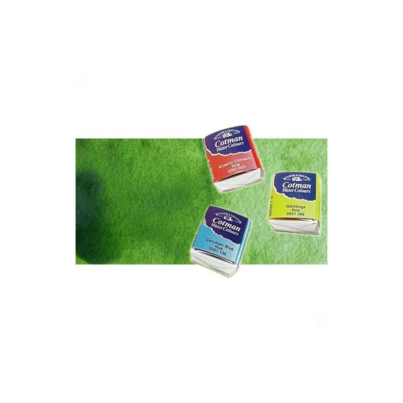 Material Bellas Artes - Pintura - Acuarela Cotman Winsor & Newton 1/2 godet color verde vejiga | totenart.com