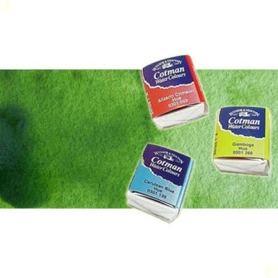 Material Bellas Artes - Pintura - Acuarela Cotman Winsor & Newton 1/2 godet color verde vejiga | totenart.com