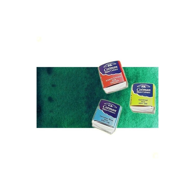 Material Bellas Artes - Pintura - Acuarela Cotman Winsor & Newton 1/2 godet color viridiana | totenart.com