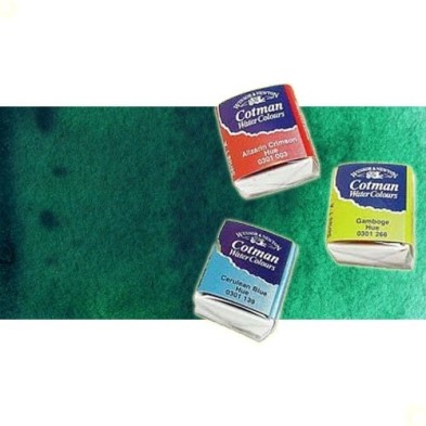 Material Bellas Artes - Pintura - Acuarela Cotman Winsor & Newton 1/2 godet color viridiana | totenart.com