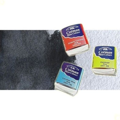 Material Bellas Artes - Pintura - Acuarela Cotman Winsor & Newton 1/2 godet color negro de marfil | totenart.com
