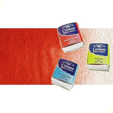 Material Bellas Artes - Pintura - Acuarela Cotman Winsor & Newton 1/2 godet color rojo de cadmio tono | totenart.com