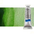 Material Bellas Artes - Pintura - Acuarela Artist Winsor & Newton color verde vejiga permanente (5 ml) | totenart.com