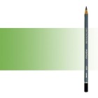 Material Bellas Artes - Pintura - Lápiz acuareable Cretacolor Marino color verde moss claro | totenart.com