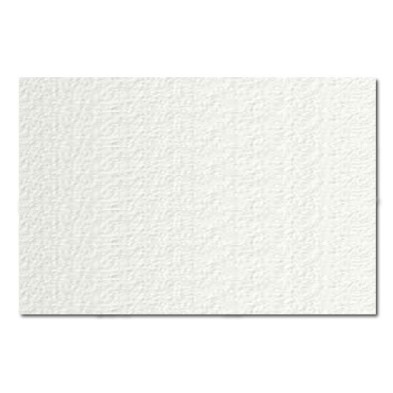 Material Bellas Artes-Pintura-Acuarela Guarro, 240 gr., 100x70, Grano Fino