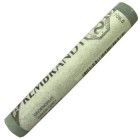 Pastel Rembrandt Gris Verdoso 5