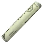Pastel Rembrandt Gris Raton 7