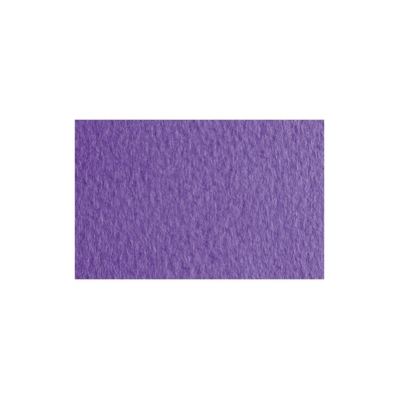 Material Bellas Artes - Dibujo - Papel para pastel Fabriano Tiziano, 160 gr., 50x65, Iris | totenart.com