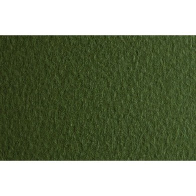 Material Bellas Artes - Dibujo - Papel para pastel Fabriano Tiziano, 160 gr., 50x65, Musgo | totenart.com