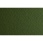 Material Bellas Artes - Dibujo - Papel para pastel Fabriano Tiziano, 160 gr., 50x65, Musgo | totenart.com