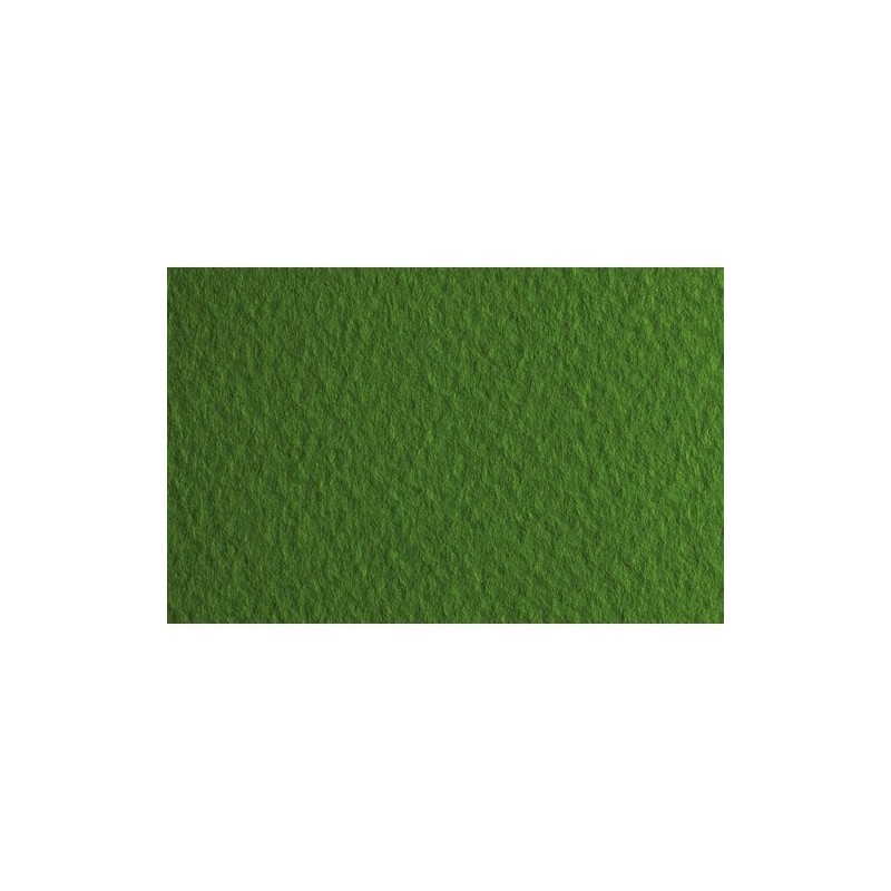 Material Bellas Artes - Dibujo - Papel para pastel Fabriano Tiziano, 160 gr., 50x65, Pistacchio | totenart.com