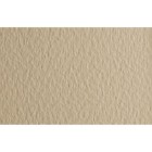 Material Bellas Artes - Dibujo - Papel para pastel Fabriano Tiziano, 160 gr., 50x65, Banana | totenart.com