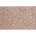 Material Bellas Artes - Dibujo - Papel para pastel Fabriano Tiziano, 160 gr., 50x65, Rosa | totenart.com