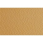 Material Bellas Artes - Dibujo - Papel para pastel Fabriano Tiziano, 160 gr., 50x65, Mandorla | totenart.com