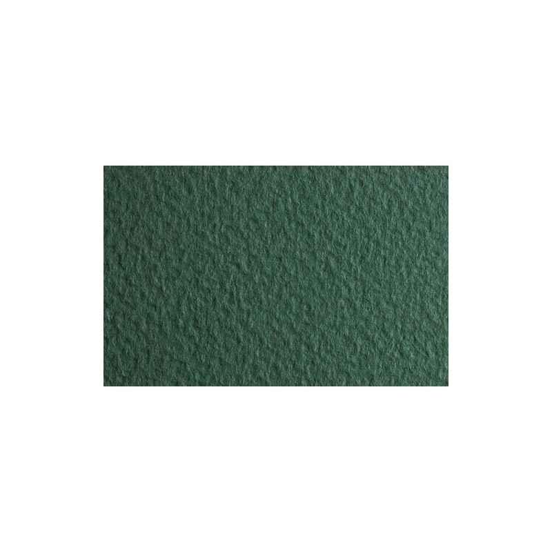 Material Bellas Artes - Dibujo - Papel para pastel Fabriano Tiziano, 160 gr., 50x65, Salvia | totenart.com