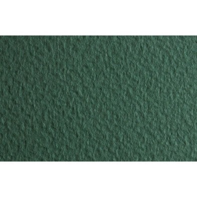 Material Bellas Artes - Dibujo - Papel para pastel Fabriano Tiziano, 160 gr., 50x65, Salvia | totenart.com
