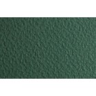 Material Bellas Artes - Dibujo - Papel para pastel Fabriano Tiziano, 160 gr., 50x65, Salvia | totenart.com