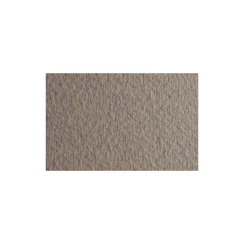 Material Bellas Artes - Dibujo - Papel para pastel Fabriano Tiziano, 160 gr., 50x65, China | totenart.com