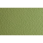 Material Bellas Artes - Dibujo - Papel para pastel Fabriano Tiziano, 160 gr., 50x65, Verduzzo | totenart.com