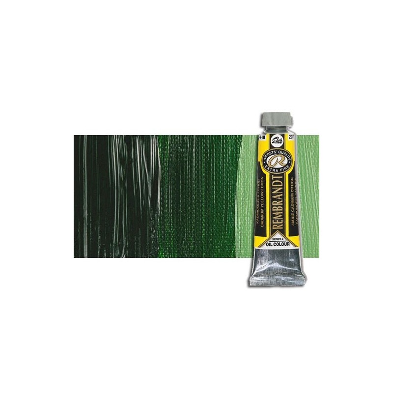 Material Bellas Artes - Pintura - Óleo Rembrandt color Verde Vejiga (40 ml.) | totenart.com