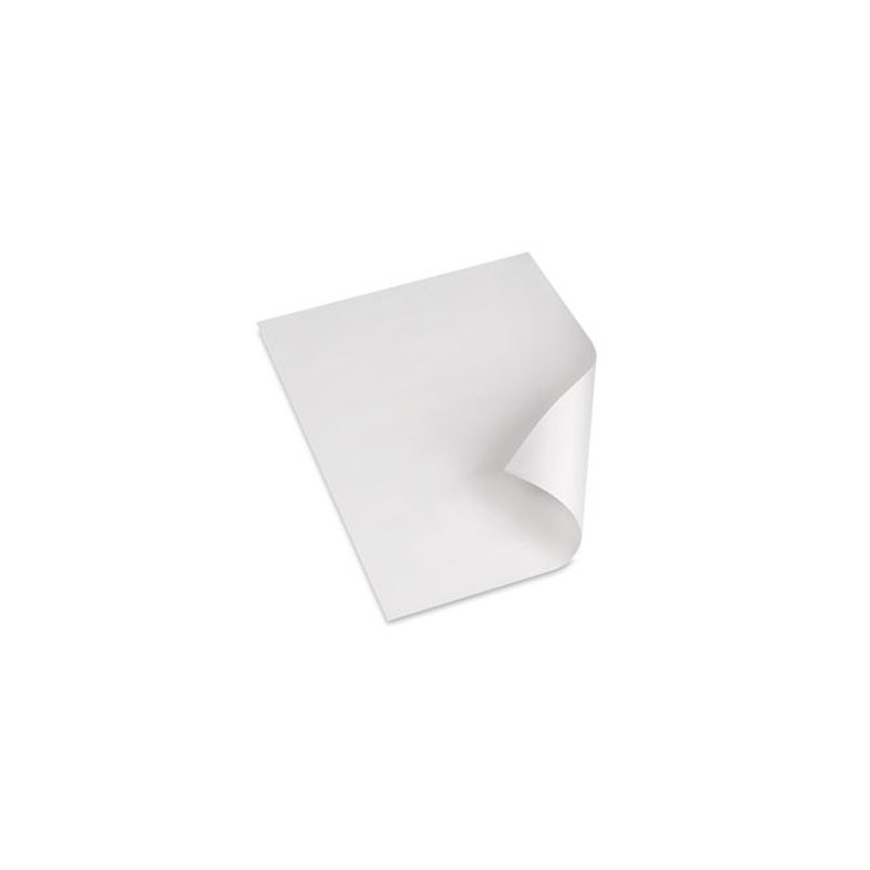 Material Bellas Artes-Dibujo-Continuo Blanco, 80 gr., 100x70 cm.