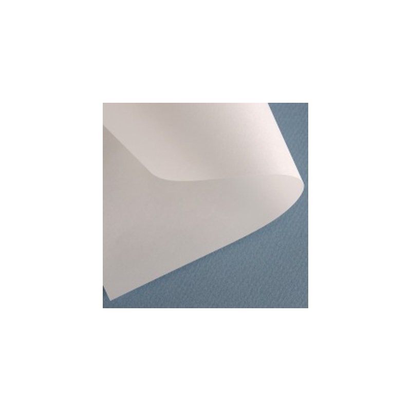 Material Bellas Artes - Restauracion - Papel barrera Canson, 80 gr, 80x120 cm. | totenart.com