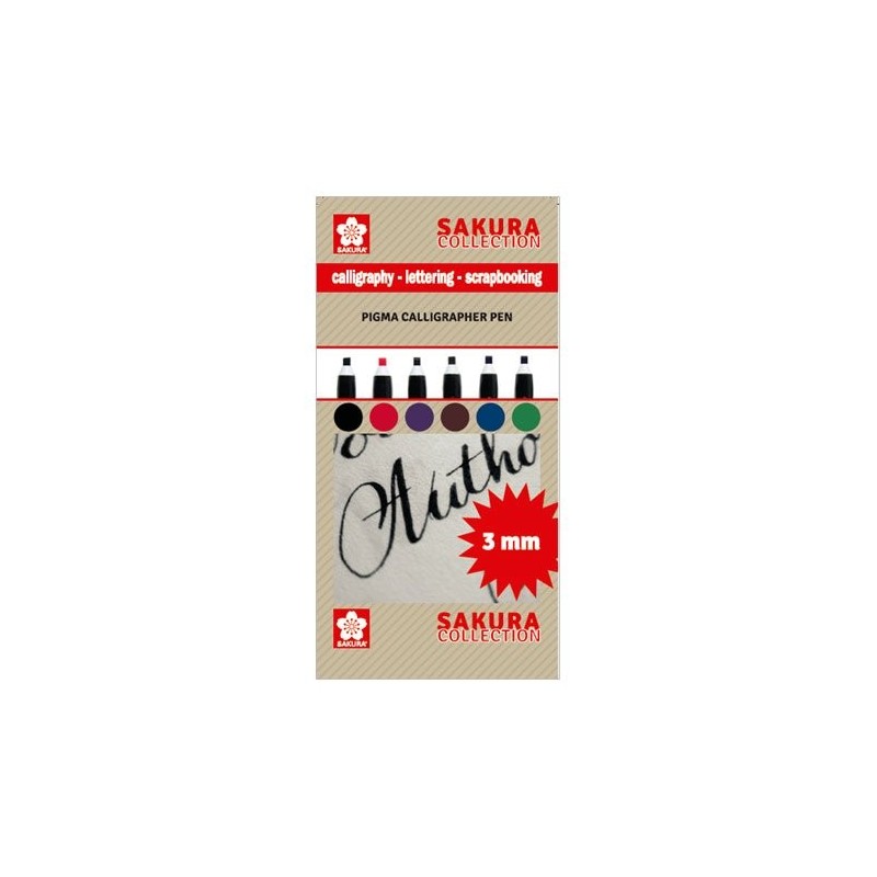 \nMaterial Bellas Artes - Pintura - Set 6 rotuladores Pigma Calligrapher Pen 3mm Sakura | totenart.com