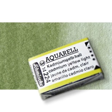 Material Bellas Artes - Pintura - Acuarela Schmincke Horadam, Tierra Verde 516, Godet Completo. S.1 * | totenart.com