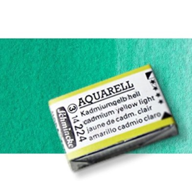 Material Bellas Artes - Pintura - Acuarela Schmincke Horadam, Verde de Ftalocianina 519, Godet Completo. S.1 * | totenart.com