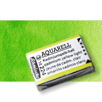 Material Bellas Artes - Pintura - Acuarela Schmincke Horadam, Verde Mayo 524, Godet Completo. S.2 * | totenart.com